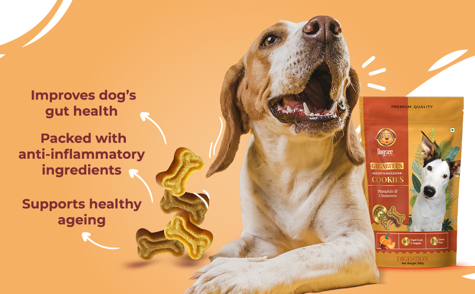 Η εταιρεία μας εγκαινιάζει περήφανα την DOGSEE στην Ελλάδα