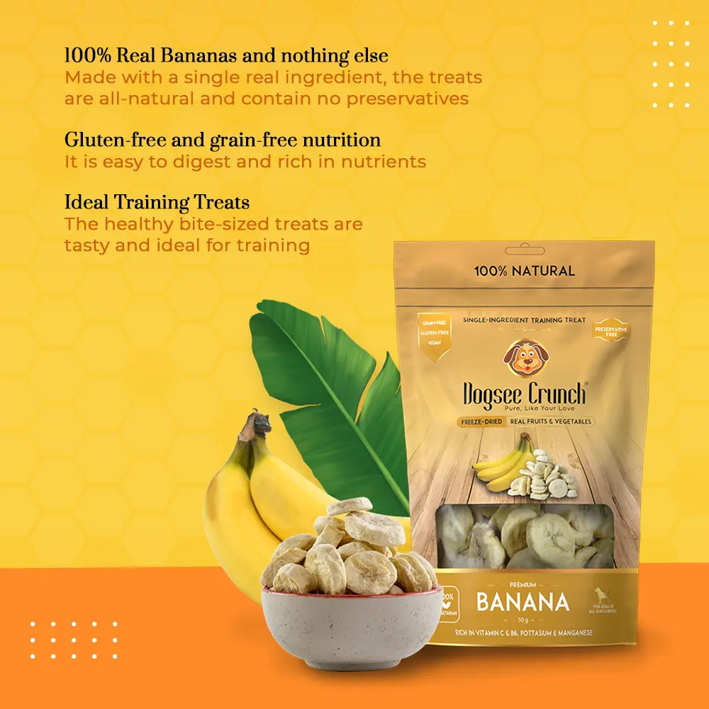 dogsee_crunch_banana_info