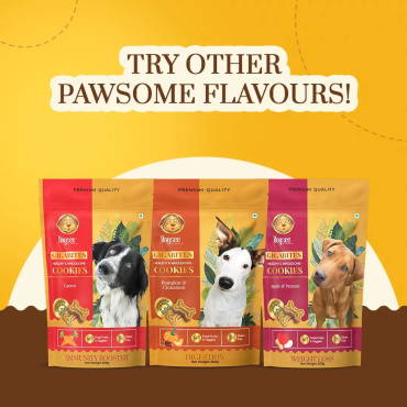 dogsee_chew_gigabites_cookies